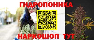 прущая мука Можайск