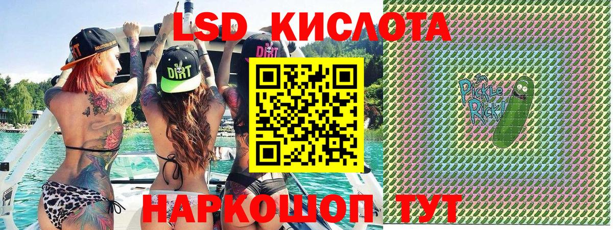 LSD-25 Сочи