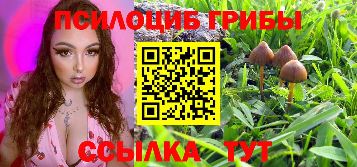 Галлюциногенные грибы MAGIC MUSHROOMS  купить наркоту  Сочи  Вход с VPN 